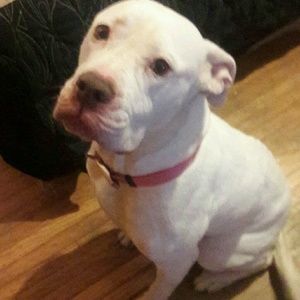 Meet your Posher, Jamilla